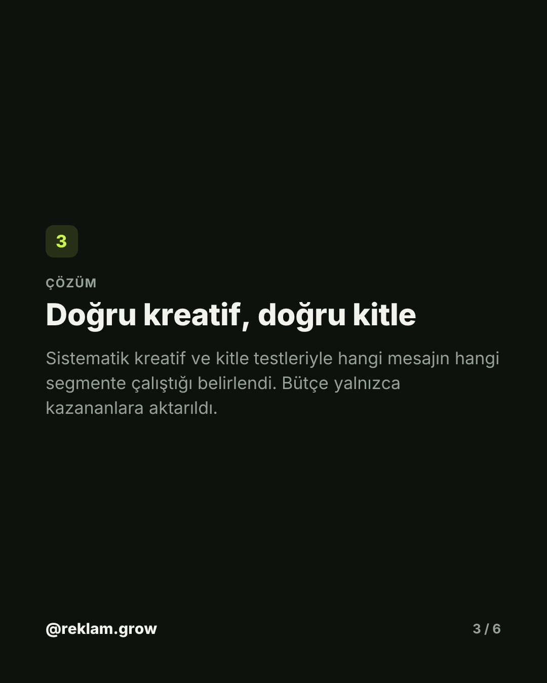 2 ayda ROAS 3'ten 8,71'e çıktı — slayt 3